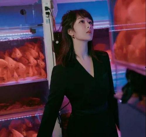 娱乐圈众明星爆料,明星私生活大揭秘! 第2张 娱乐圈众明星爆料,明星私生活大揭秘! 第2张